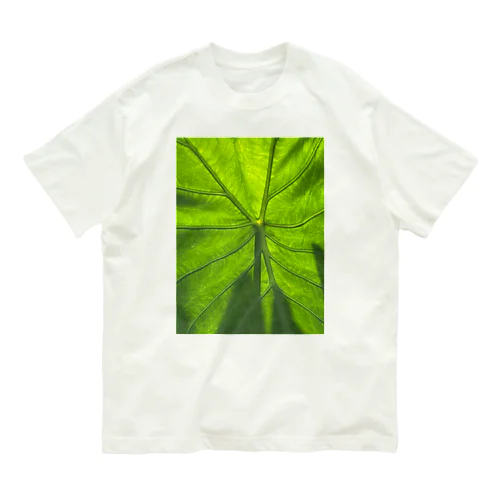 脈 Organic Cotton T-Shirt