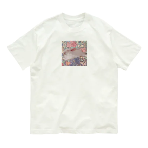 いちみたんばぶばぶ オーガニックコットンTシャツ