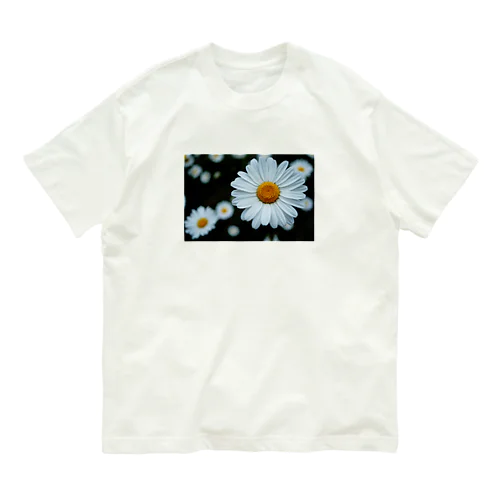 Shambara Organic Cotton T-Shirt
