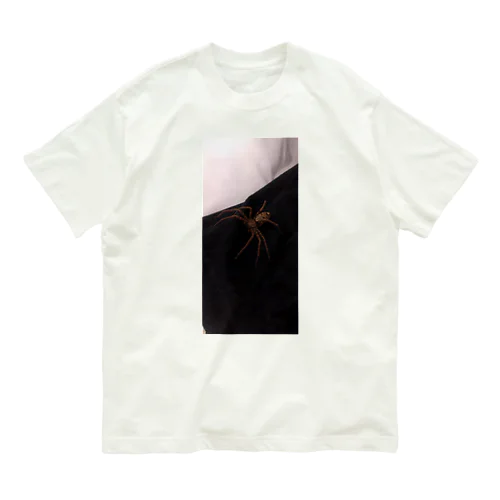 spider オーガニックコットンTシャツ