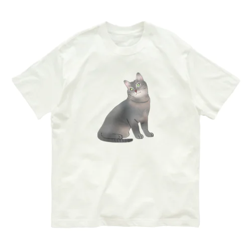 うちのにゃ～んこ（サバトラver.） Organic Cotton T-Shirt