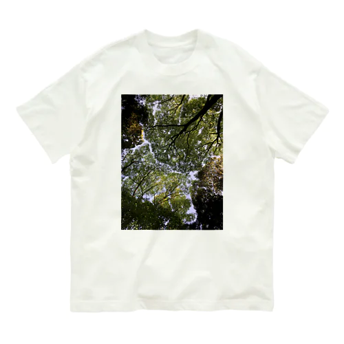 神宮の森 オーガニックコットンTシャツ