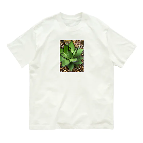 アガベ ホリダ(加工Ｖｅｒ．) Organic Cotton T-Shirt