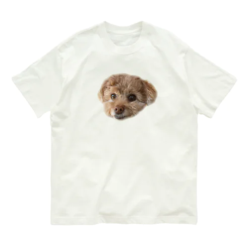 くーちゃん オーガニックコットンTシャツ