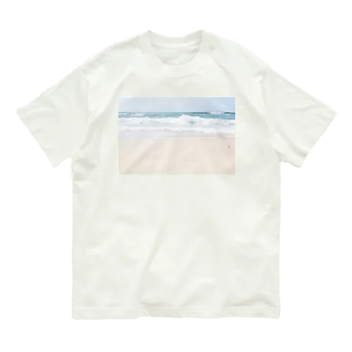 see SEA  オーガニックコットンTシャツ