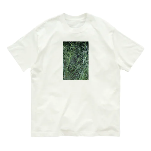 きらきら露草 Organic Cotton T-Shirt