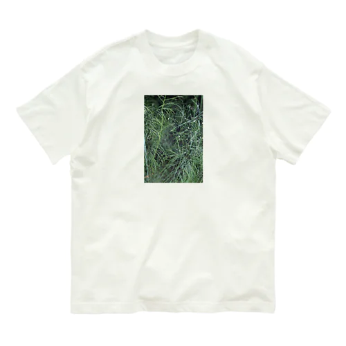 きらきら露草 オーガニックコットンTシャツ