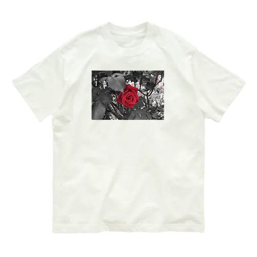 瞬間 Organic Cotton T-Shirt