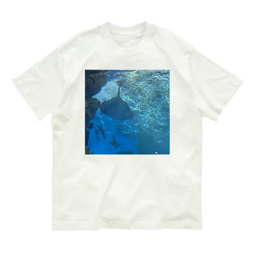 1/4 Organic Cotton T-Shirt