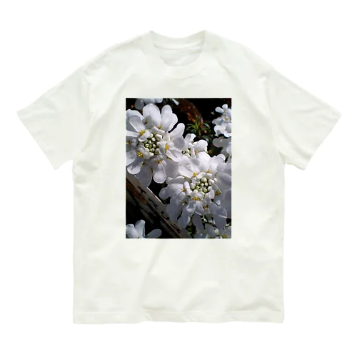 シュガーキャンディー Organic Cotton T-Shirt