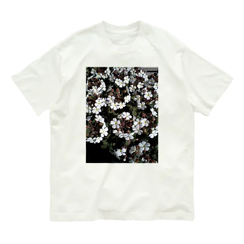 小さな桜の大きな夢 オーガニックコットンTシャツ