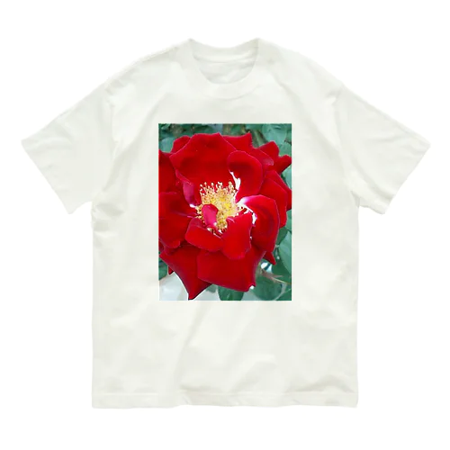 愛は盲目 Organic Cotton T-Shirt