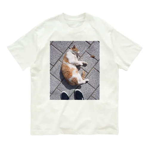 余韻に浸るのらねこ オーガニックコットンTシャツ