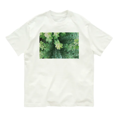 花壇の植物 オーガニックコットンTシャツ