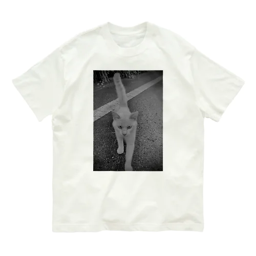 Cathouse 9tee オーガニックコットンTシャツ