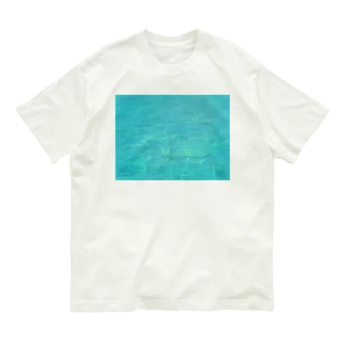 ニシ浜ブルー オーガニックコットンTシャツ