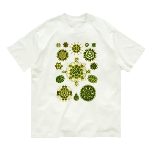 Kunstformen_Melethallia オーガニックコットンTシャツ