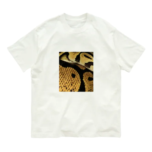 Real colorful snake skin Nr. 7,  本物 の カラフルな ヘビ 皮 No. 7,  7番 オーガニックコットンTシャツ