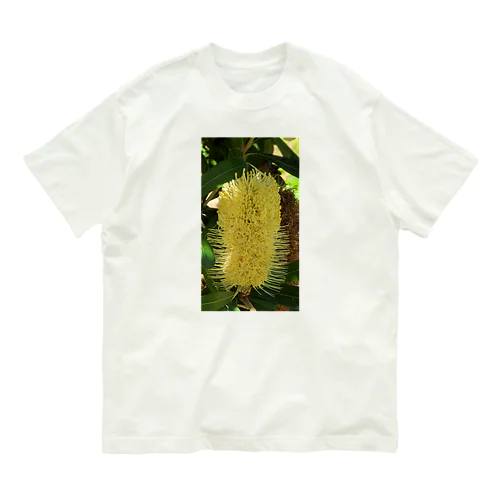 リョク君 Organic Cotton T-Shirt