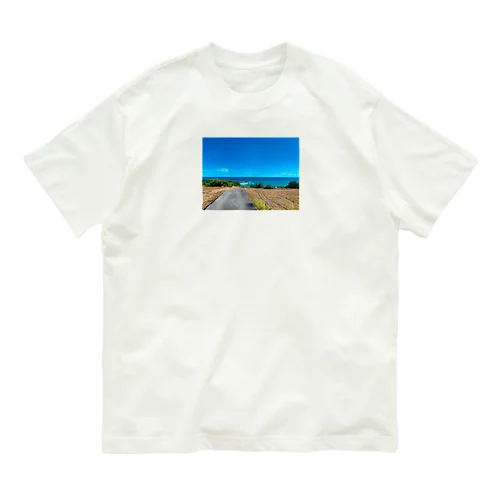 水平線 オーガニックコットンTシャツ