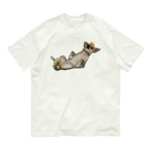 チワワ のさくら Organic Cotton T-Shirt