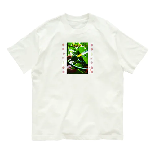 イチジク属の交雑実験 オーガニックコットンTシャツ