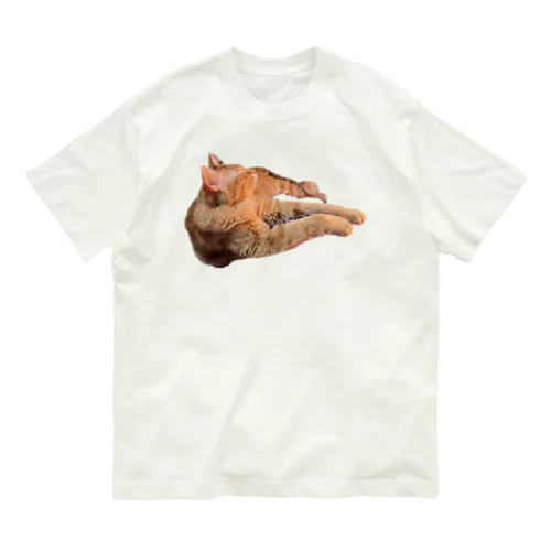 ヒーターの目の前にいるお猫様 オーガニックコットンTシャツ