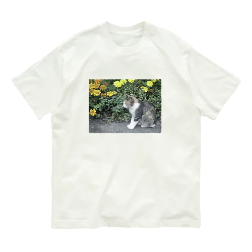 hometown cat オーガニックコットンTシャツ