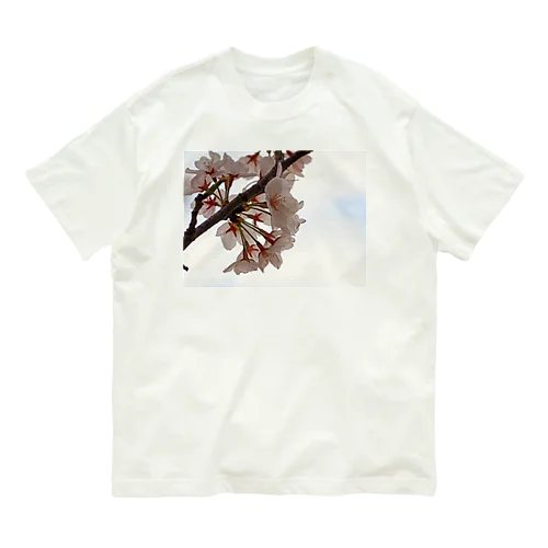 イラスト風SAKURA Organic Cotton T-Shirt