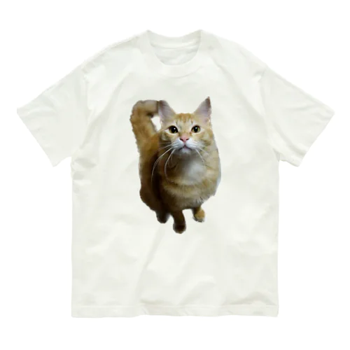 我が家のお猫様が見てます(笑) オーガニックコットンTシャツ