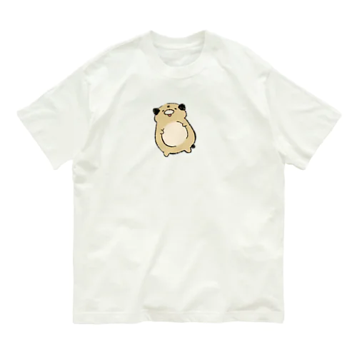 べびぱぐ オーガニックコットンTシャツ