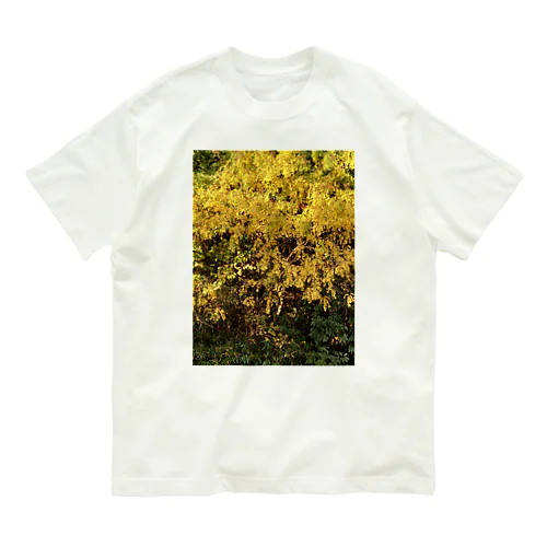 シーズンTシャツ。 Organic Cotton T-Shirt