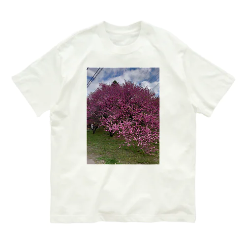 シーズンTシャツ。 Organic Cotton T-Shirt