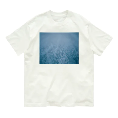 蔵王 Organic Cotton T-Shirt