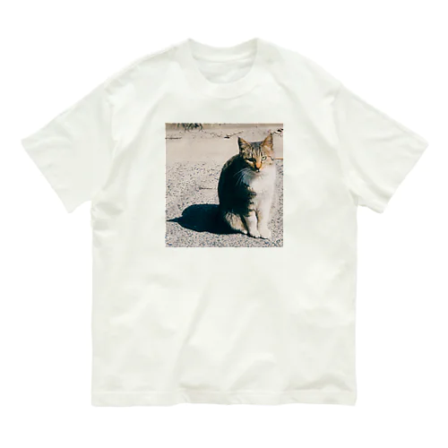 ねこ猫ネコ オーガニックコットンTシャツ
