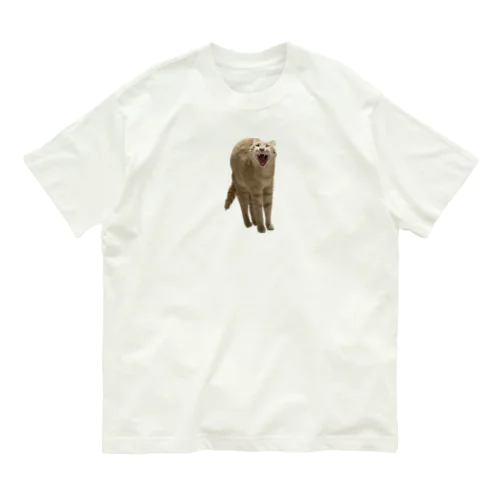 あくび猫のシロ オーガニックコットンTシャツ