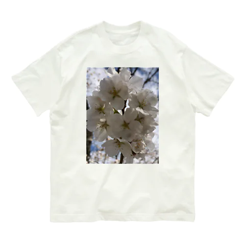 桜　 オーガニックコットンTシャツ