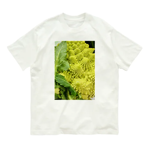 ロマネスコ Organic Cotton T-Shirt