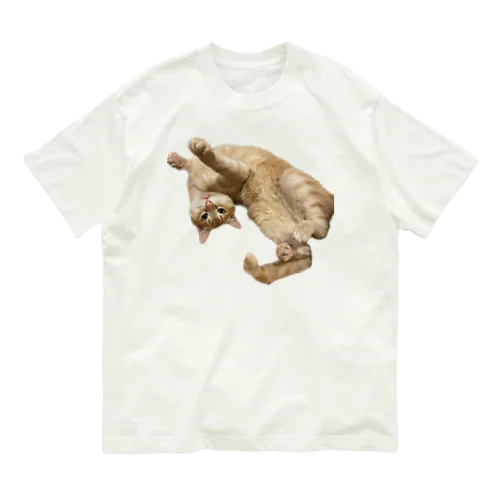 こーちゃんへそてん Organic Cotton T-Shirt