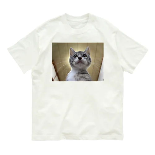 保護猫ベジータ　神 Organic Cotton T-Shirt