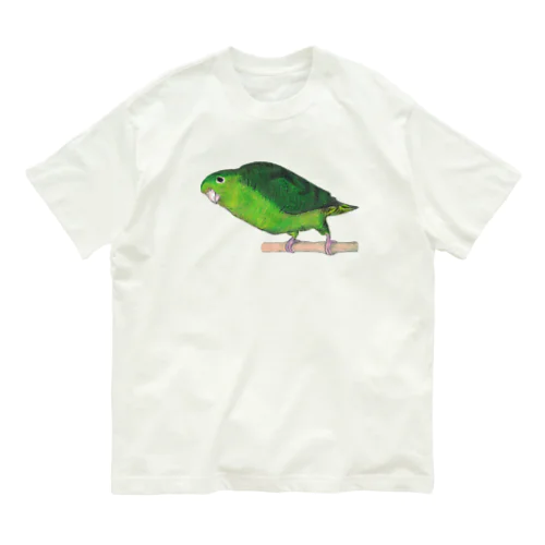 [森図鑑] サザナミインコ緑色 オーガニックコットンTシャツ