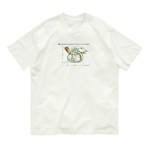 パキポ-ホロ オーガニックコットンTシャツ