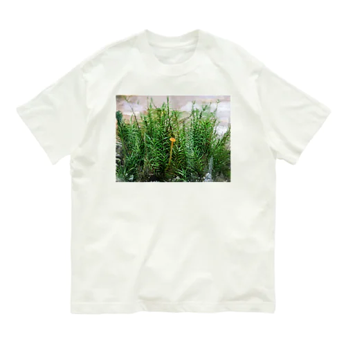 キノコと苔テラリウム Organic Cotton T-Shirt