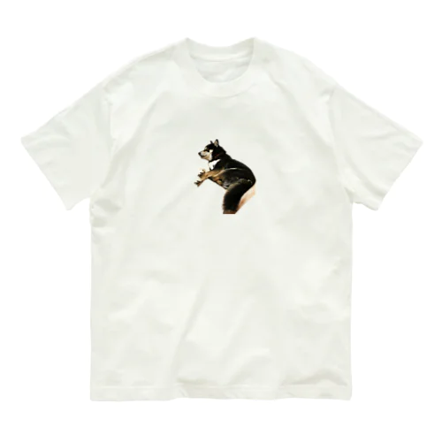 黒柴犬　ジョシーバ　癒し オーガニックコットンTシャツ