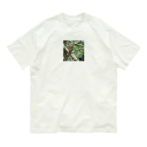 リュウキュウアカショウビン Organic Cotton T-Shirt