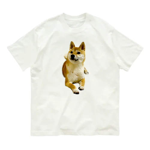 柴犬おかゆ Organic Cotton T-Shirt