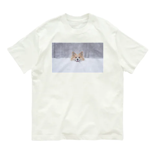 コーギー犬もこすけグッズ オーガニックコットンTシャツ