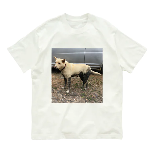 田んぼに落ちちゃった Organic Cotton T-Shirt