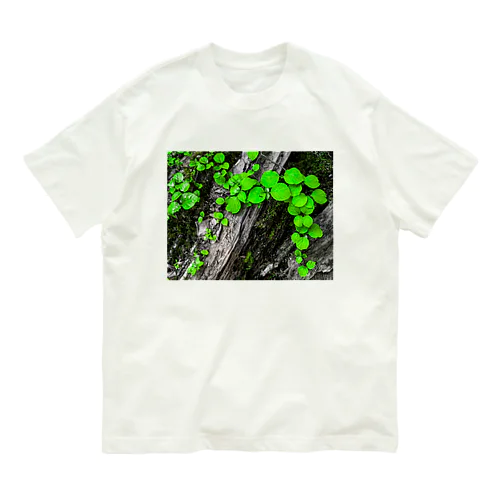 探究 Organic Cotton T-Shirt