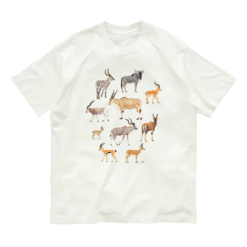 アンテロープ Organic Cotton T-Shirt